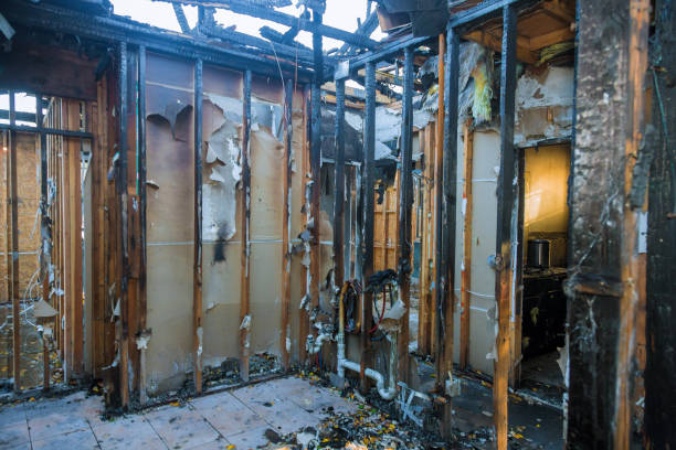Professional Soot Cleanup technician working in Burlington, KY